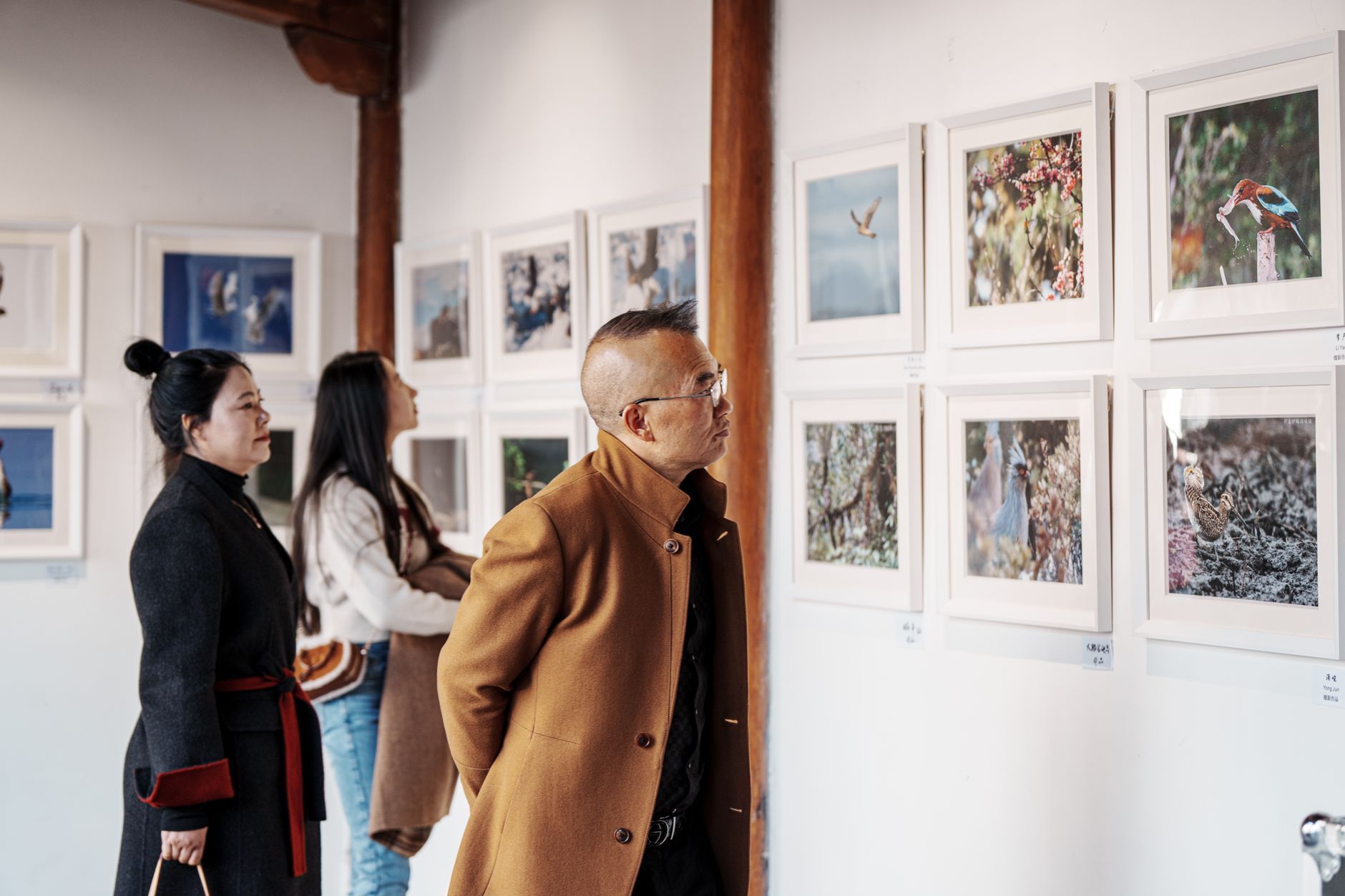 People observing nature photography at an art gallery exhibit. Diverse artworks displayed.
