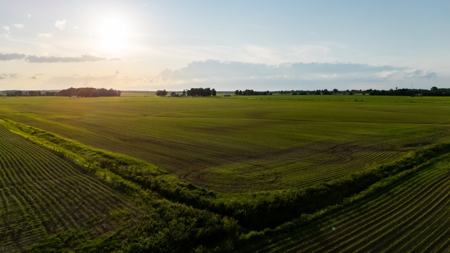 Expansive rural farmland under a serene sunset, showcasing rows of crops in the golden light.