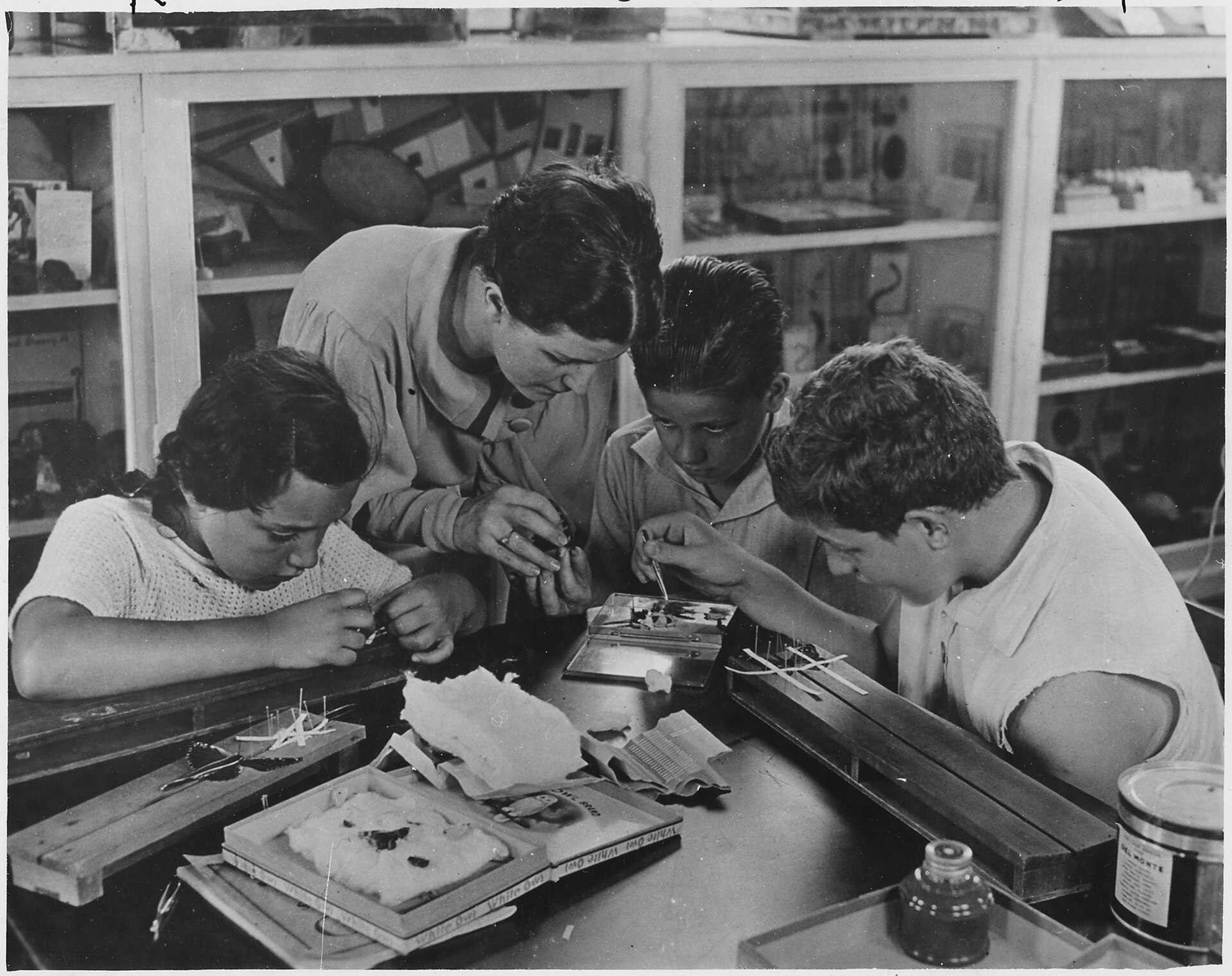 WPA worker instructs children in mounting the day's catch of insects at the Children's Museum in Brooklyn, N.Y. - NARA - 195904