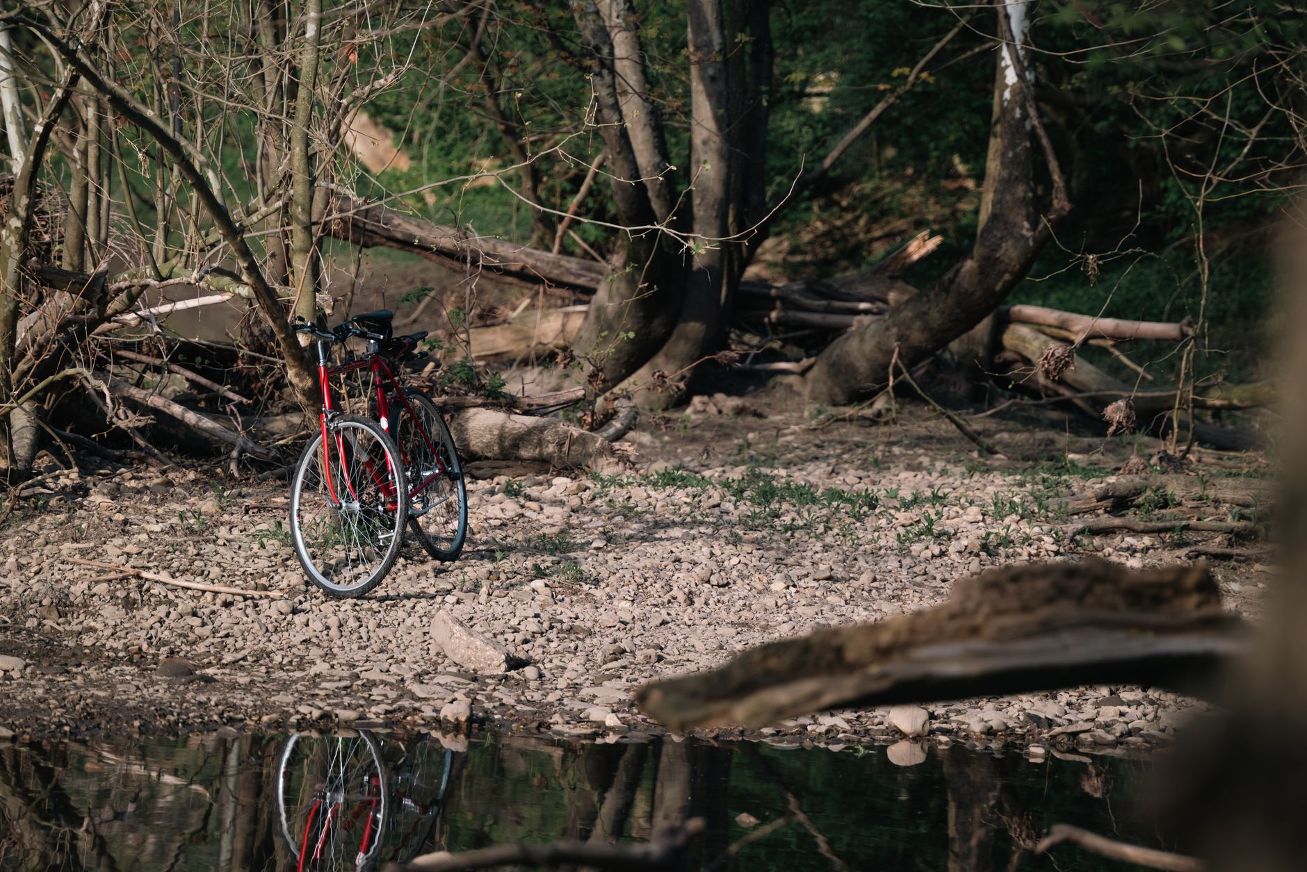 A red bicycle parked on a rocky forest path among bare trees in spring.