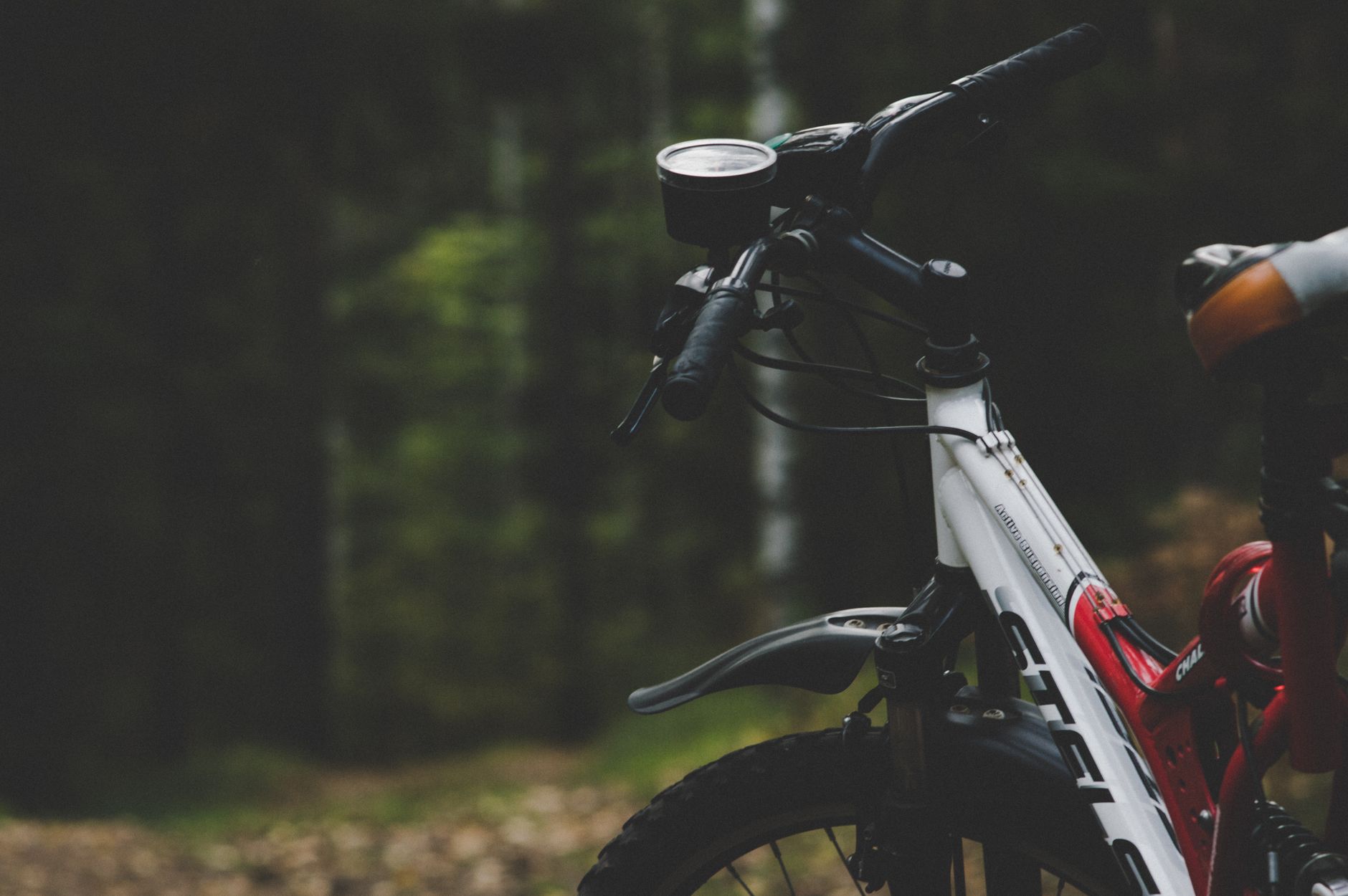 Close-up of a mountain bike on a forest trail, capturing outdoor adventure themes.