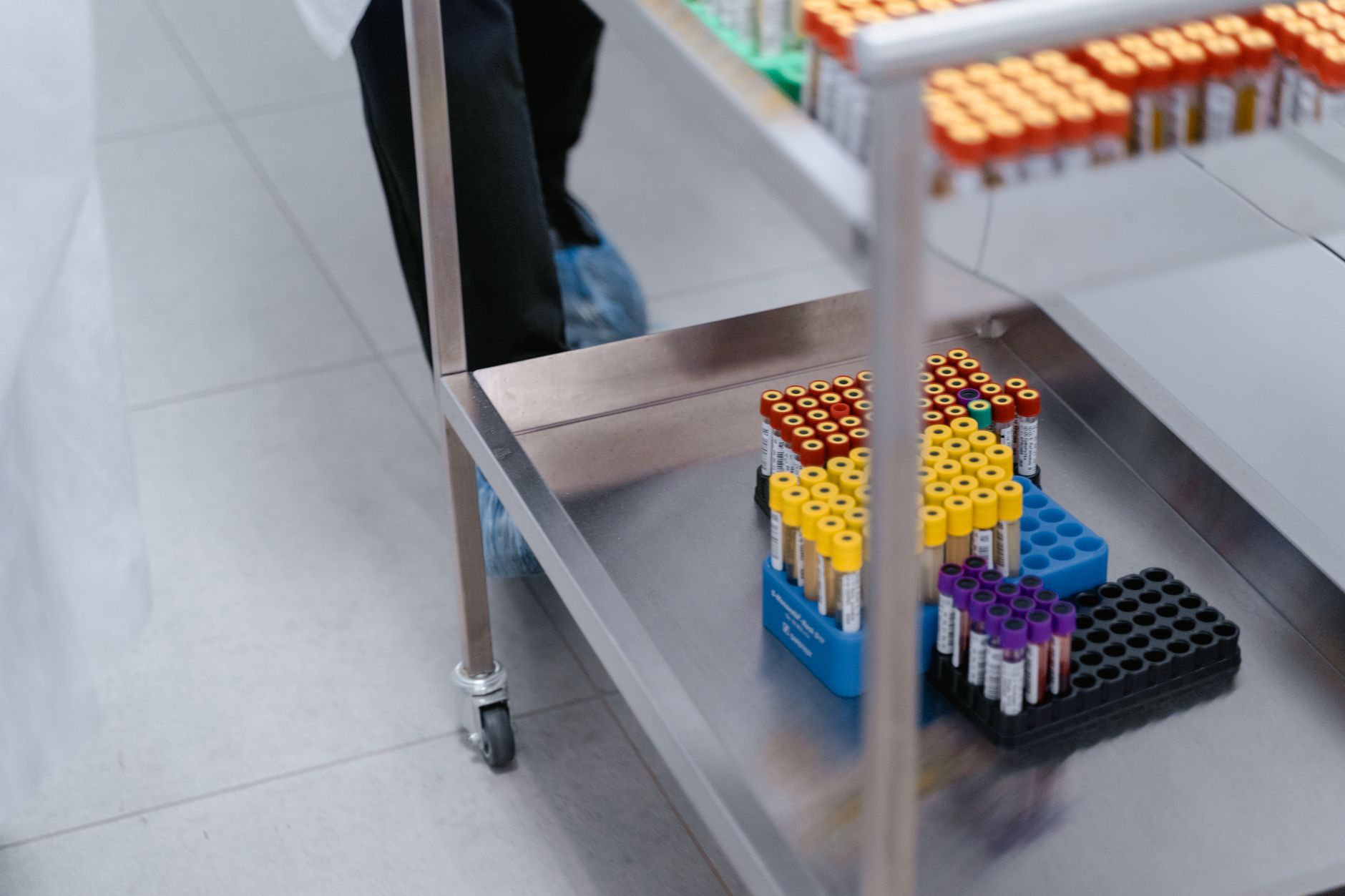 A close-up of blood sample vials organized in a laboratory setting.