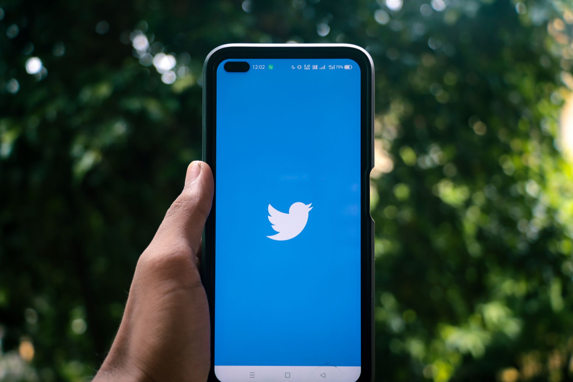 A hand holding a smartphone displaying the Twitter logo outdoors, surrounded by greenery.