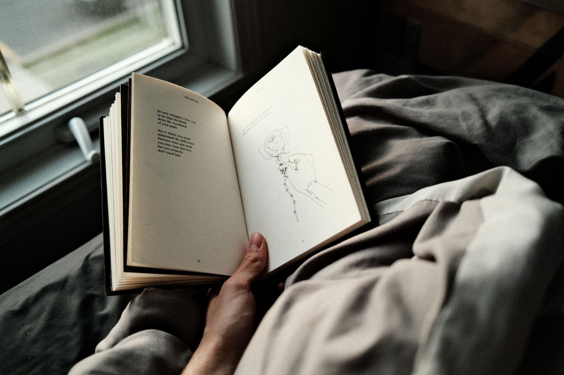Person reading a book in bed by a window, creating a cozy and peaceful atmosphere.