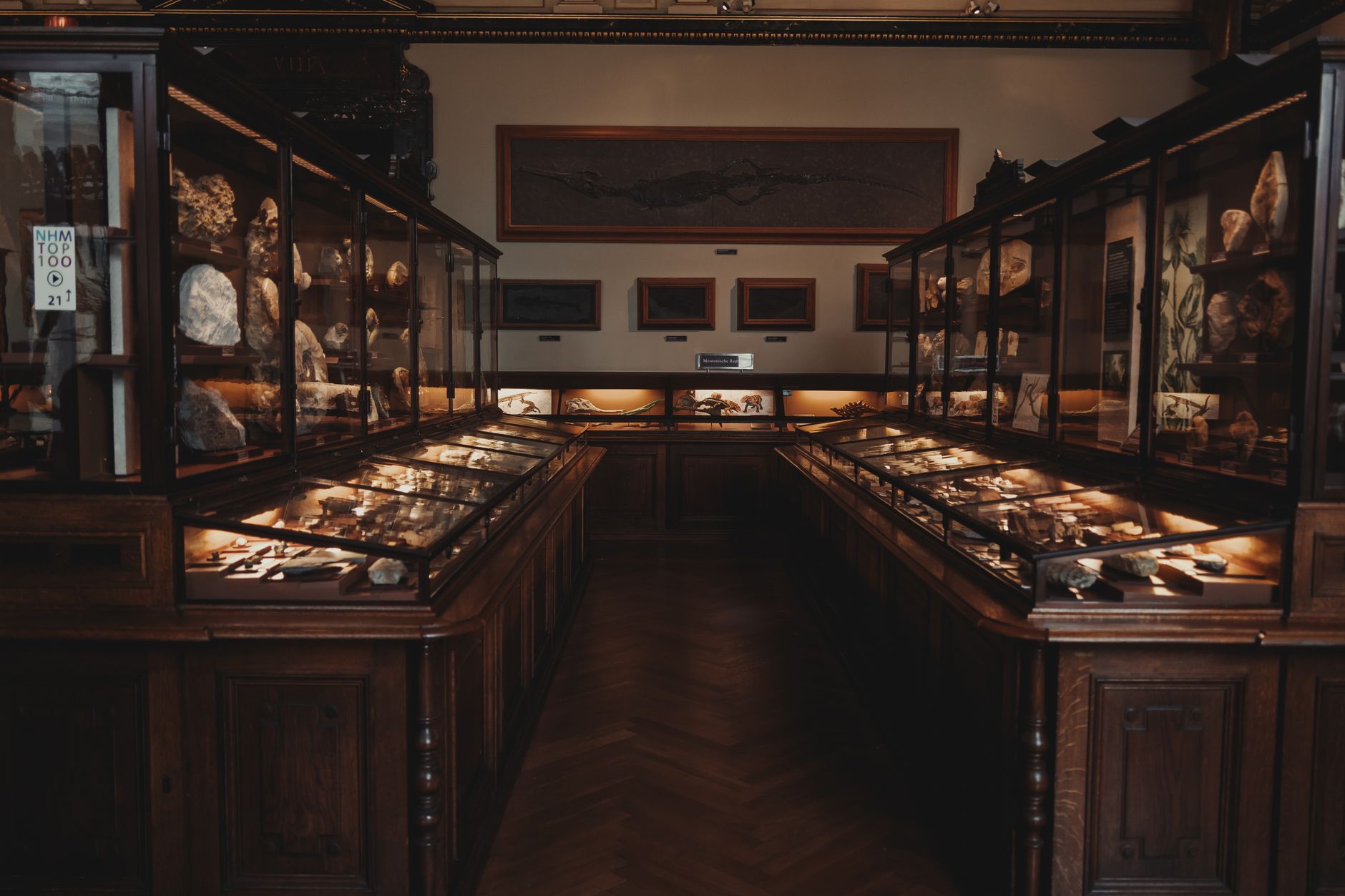 Exhibit of minerals and fossils in the Vienna Natural History Museum, featuring classic display cases.