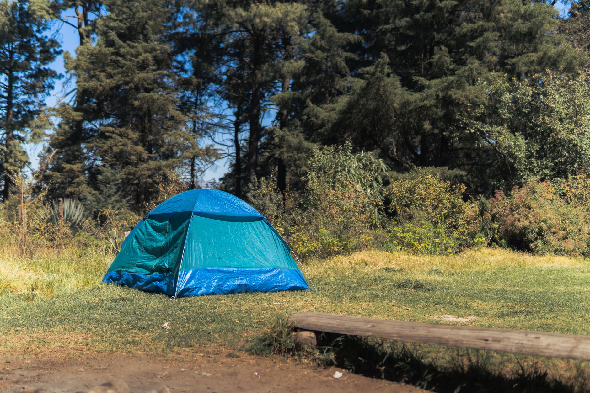 A vibrant blue tent set up in a peaceful forest setting, perfect for outdoor camping adventures.